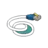 Network