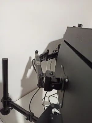 Mounted view from behind